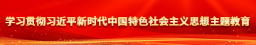 骚逼女生猛捅自己逼逼自慰学习贯彻习近平新时代中国特色社会主义思想主题教育